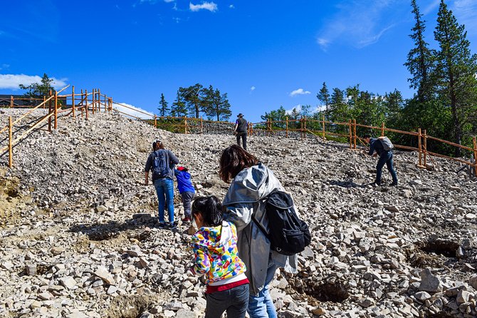 Trip to Pyhä-Luosto National Park and Amethyst Mine - Getting to Pyhä-Luosto: pickup, timing, and what you’re buying