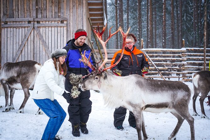 Two Full Days in Lapland - Who should book this Lapland two-day package