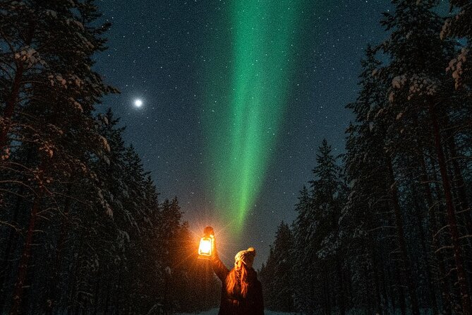 Ultimate Aurora Borealis Tour Rovaniemi - What the night feels like on the ground