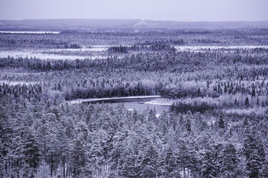 Vikakongas Hike: Nature and Silence - Why Vikaköngäs Rapids Feels Worth the Effort
