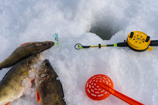 VIP Ice Fishing "ICEBREAKER" Lunch in Glass Igloo - What This Cost Covers (And How to Judge the Value for Yourself)