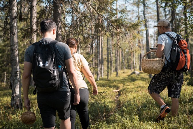 Wild Berries and Mushroom picking tour - Why Lapland Foraging Feels Like Real Finland