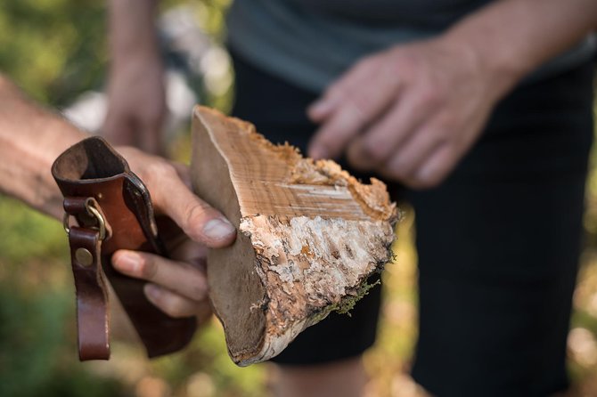 Wild Berries and Mushroom picking tour - Secret Forest Spots, Baskets, and Tasting Along the Way
