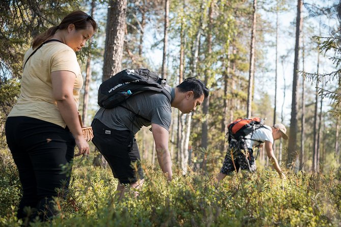 Wild Berries and Mushroom picking tour - Best Season in Lapland: Late July to Early October