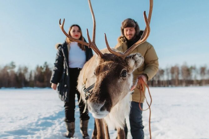 Wild Reindeers Safari + Lunch in Glass Igloo (private service) - Private Pickup and Winter Gear That Makes It Feel Effortless