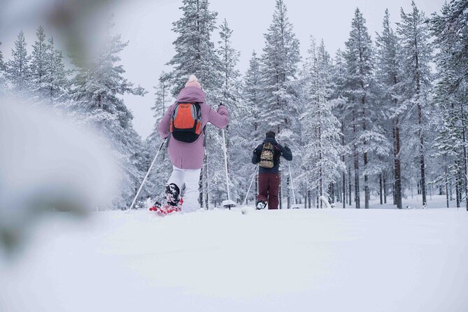 Wilderness snowshoe adventure - Rovaniemi pick-up and the quick ride into quiet Finland