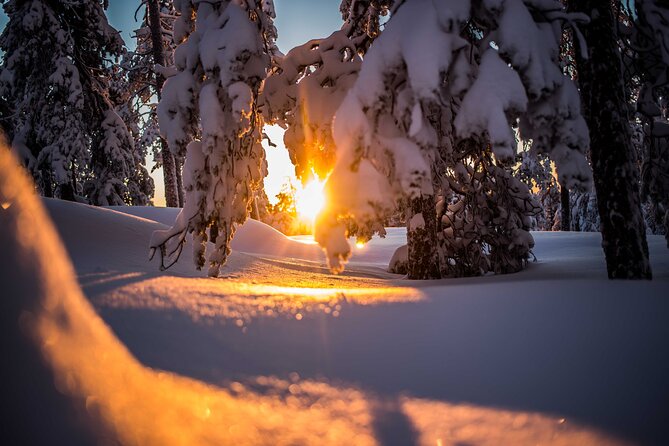 Wilderness snowshoe adventure - Wooden shelter campfire break: warm drinks, snacks, and a lived-in moment