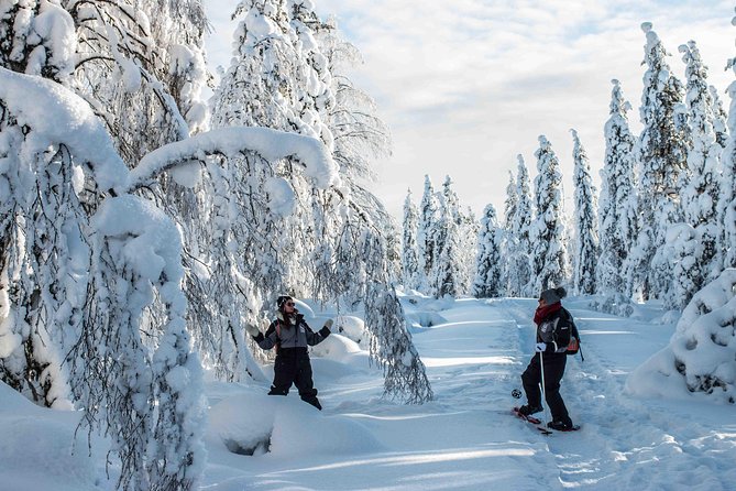 Wilderness snowshoe adventure - Wildlife luck: spotting animals without turning it into a chase