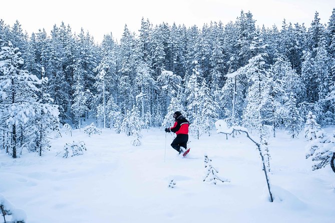 Wilderness snowshoe adventure - Price and value: is $126.16 for 3 hours fair?