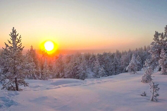 Wilderness Survival Tour - Winter - Meeting point and transfers: saving you time and hassle