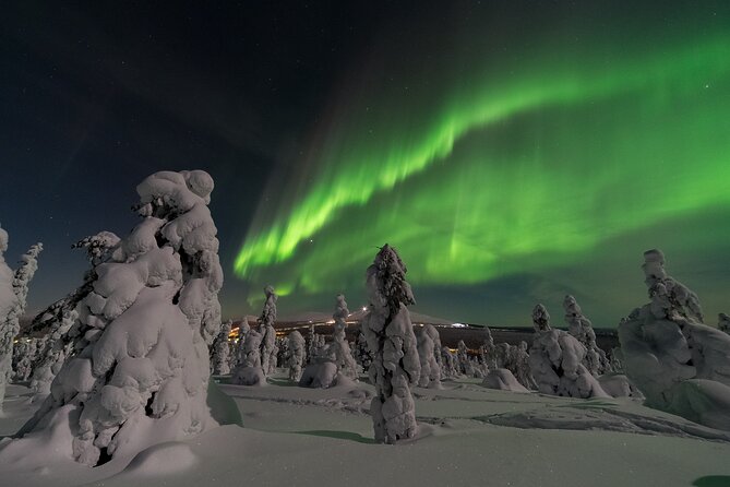 Ylläs: Guided Night Skiing Tour Under the Arctic Sky - Where Night Skiing Fits in Lapland (and Why It’s Worth Your Evening)
